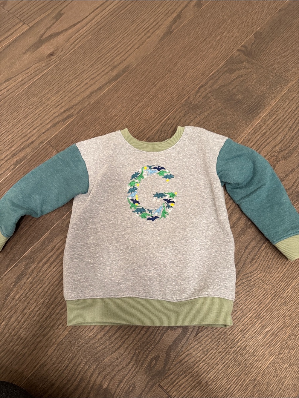Embroidered “G” sweatshirt with dinosaurs- Size 3T